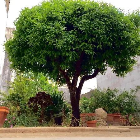 Casa Diaz Apartment